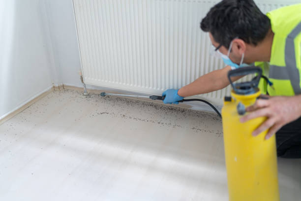 Best Cockroach Control Services  in Rolling Fork, MS